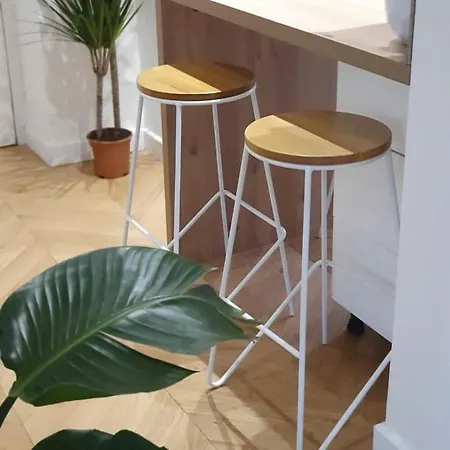 Magnifique Parisien Tres Bon Quartier Apartment *