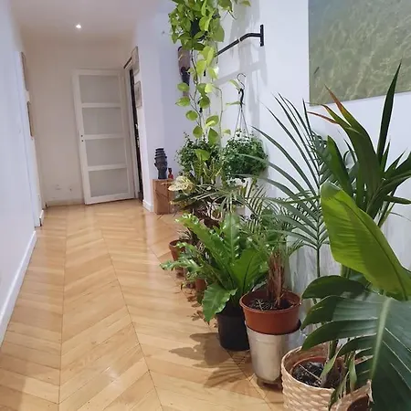 Magnifique Parisien Tres Bon Quartier Apartment